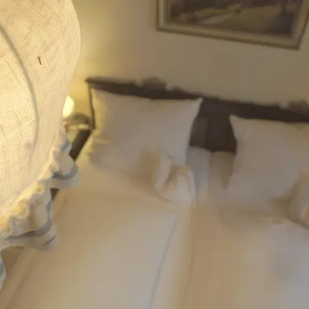 Faehrhaus 3* Waldshut-Tiengen